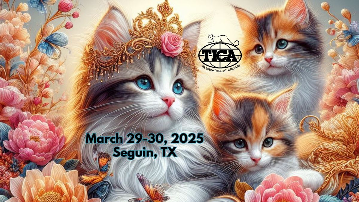 Kittens and Blooms - 4th Annual Cat Show