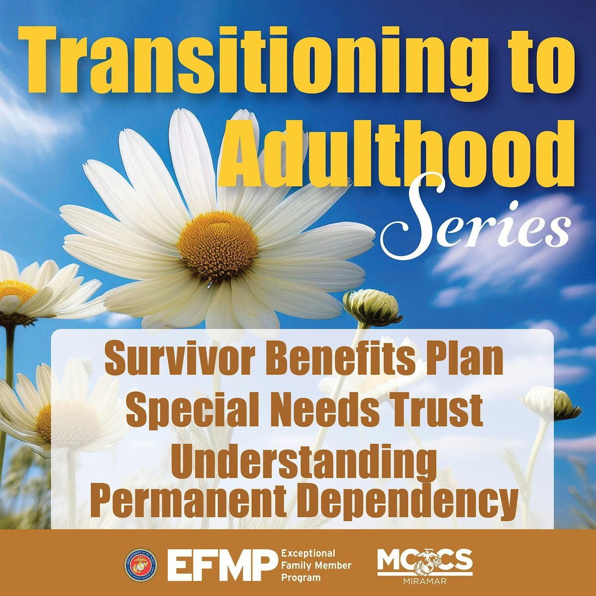 Survivor Benefits , Special Needs Trust, Understanding Permanent Dependency