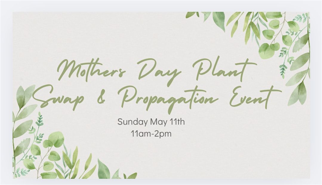 Mother's Day Plant Swap & Propagation Event (local pot included)