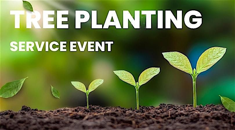 Rotary Tree Planting
