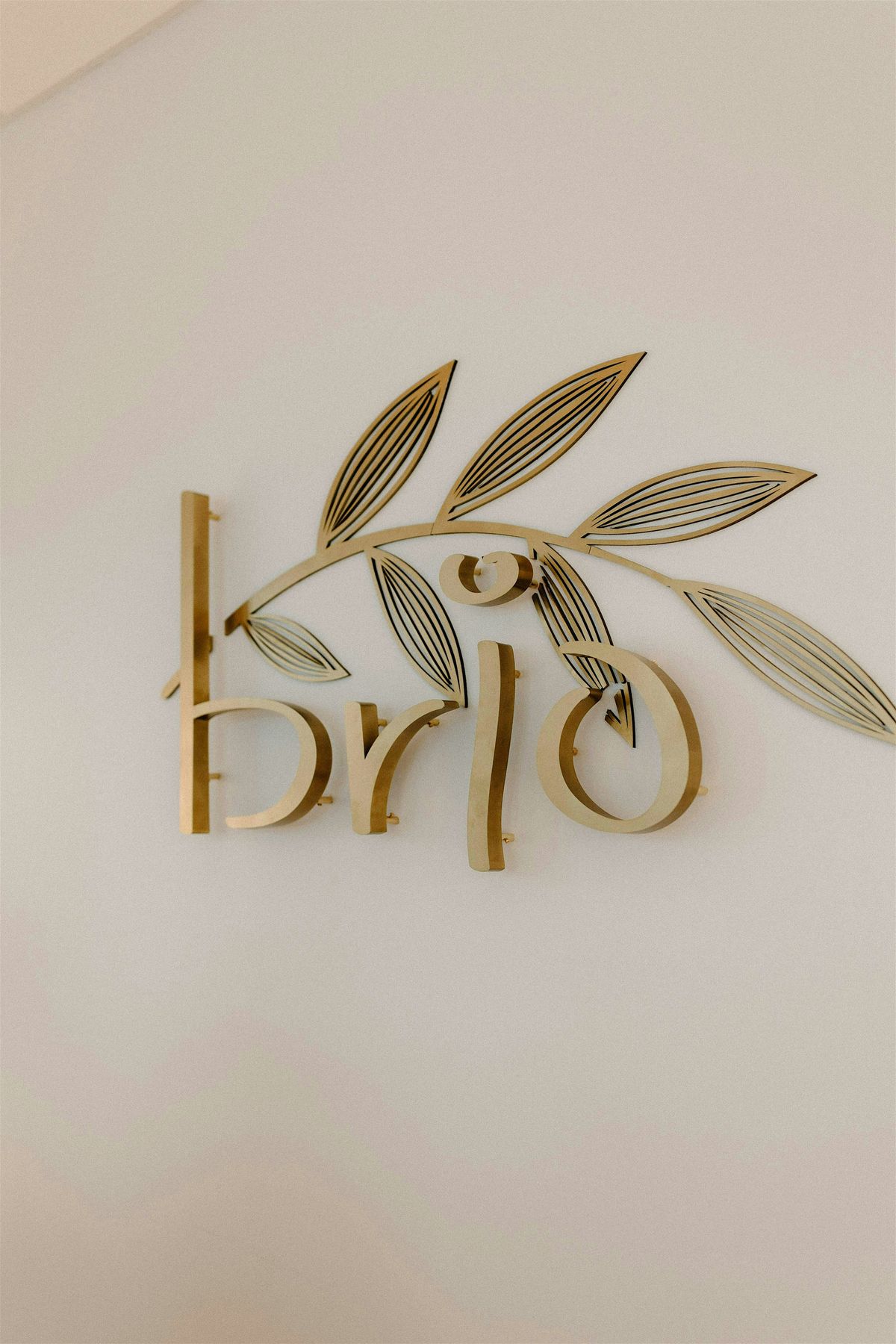 Brio Aesthetics: The Holiday Edit