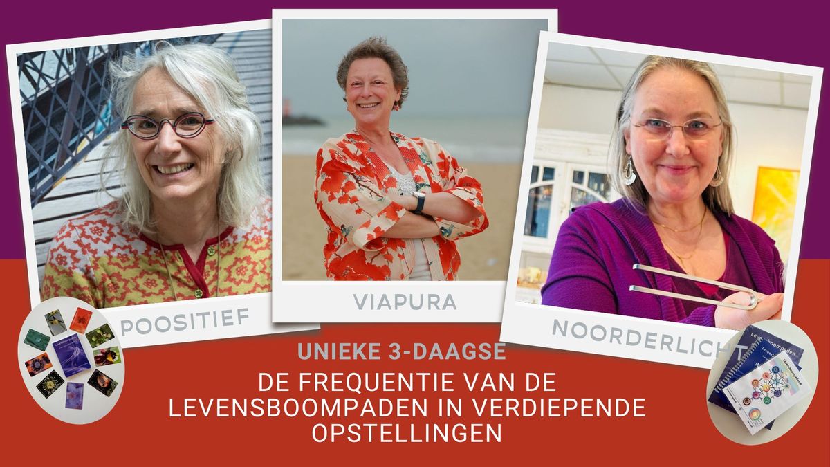 De Frequentie van de levensboompaden in verdiepende opstellingen