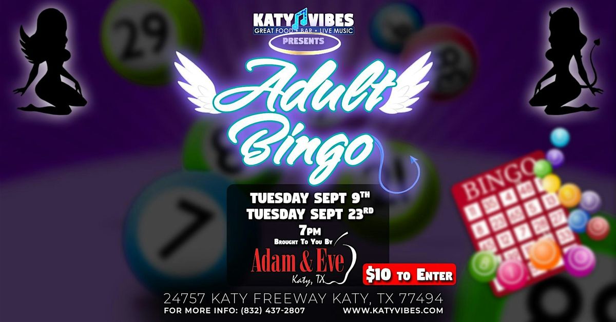 Adult Bingo at Katy Vibes!