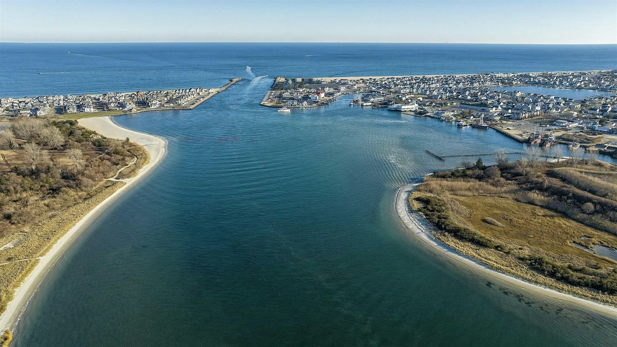 Winter Biological Survey of Manasquan River Inlet