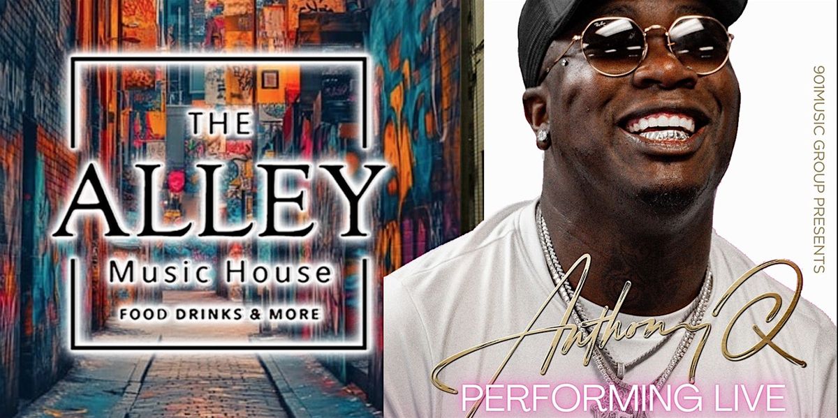 The Alley Music House Concert Series "Anthony Q" Performing Live