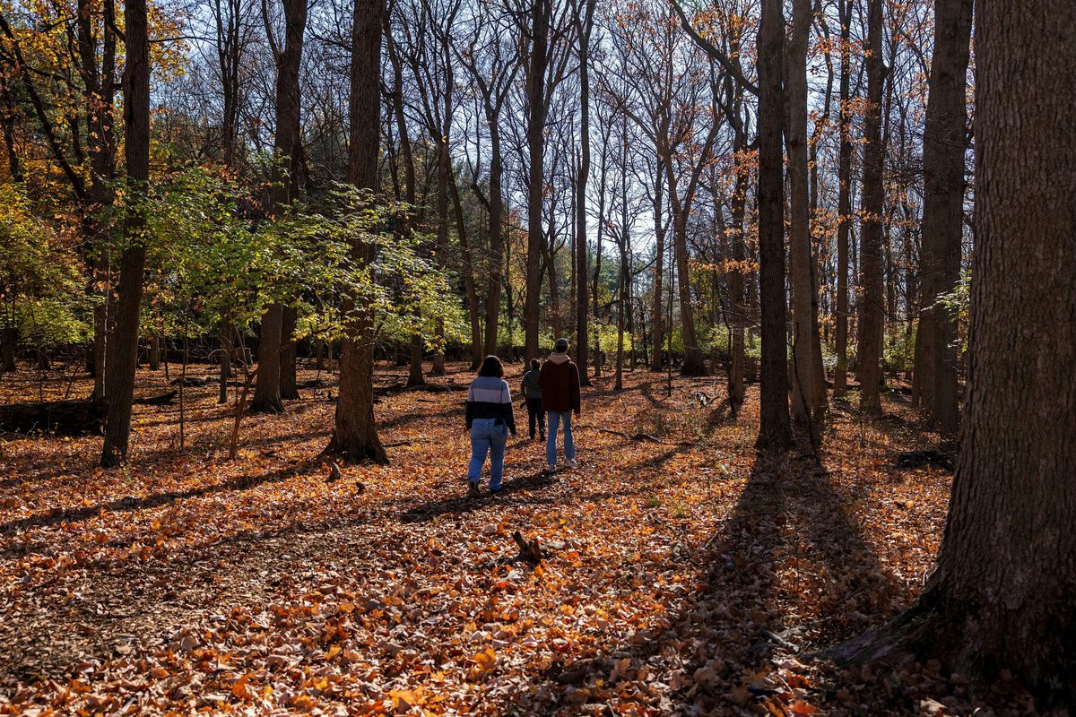 NATURE Brainstorming Session with Spirit & Place