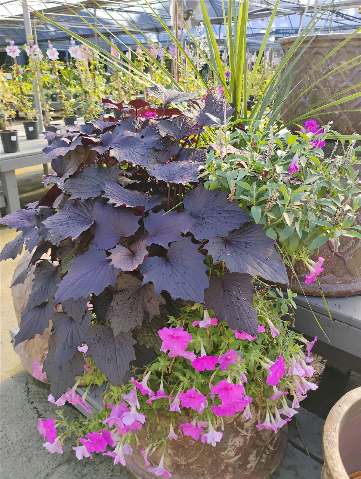 Container Pot Refresh