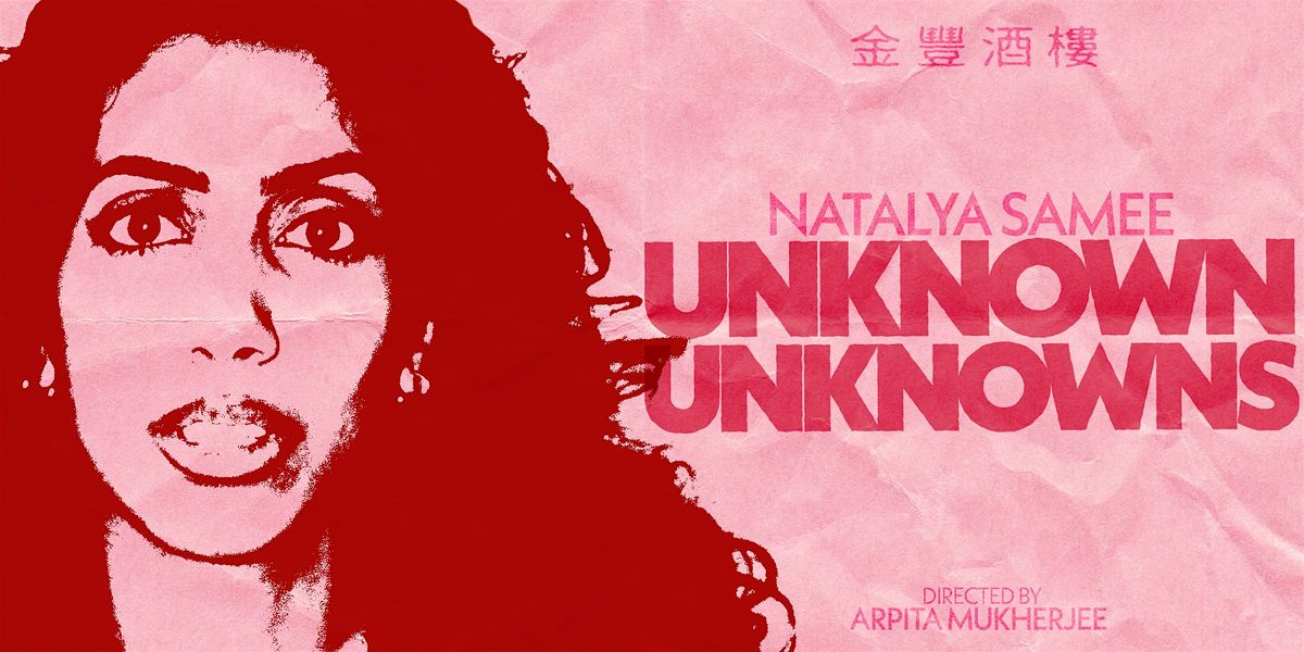 Natalya Samee: Unknown Unknowns
