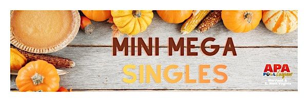APA Thanksgiving Eve 9-Ball Mini Mega Singles Tournament