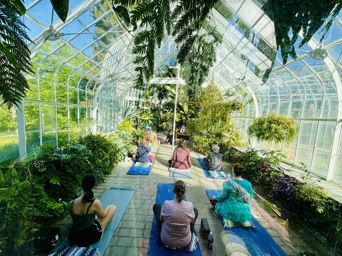 Yoga Among the Plants