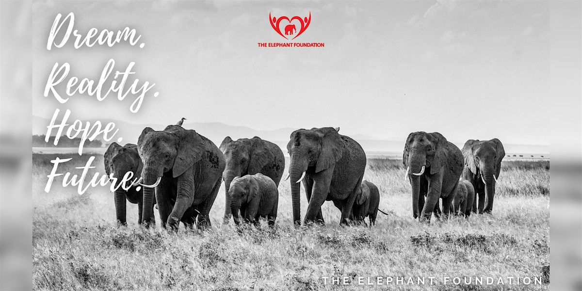 AIA Vitality Hub Elephant Foundation's wildlife panel \u5927\u8c61\u57fa\u91d1\u6703\u4e4b\u91ce\u751f\u52d5\u7269\u7814\u8a0e\u6703