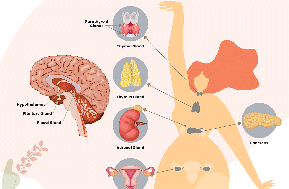 Understanding Your Sex Hormones! Live with Shivani Doctor
