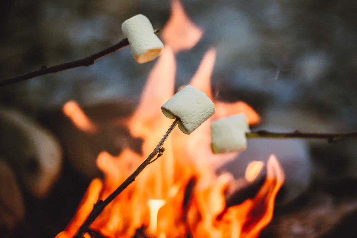 Caroling Campfire: Hickory Creek Preserve