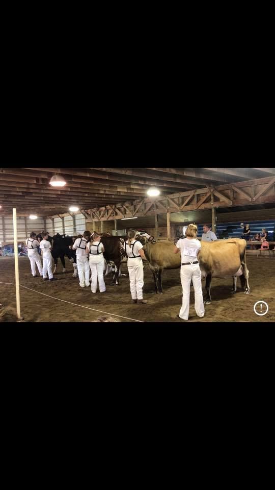 2024 West Central Dairy Days Show