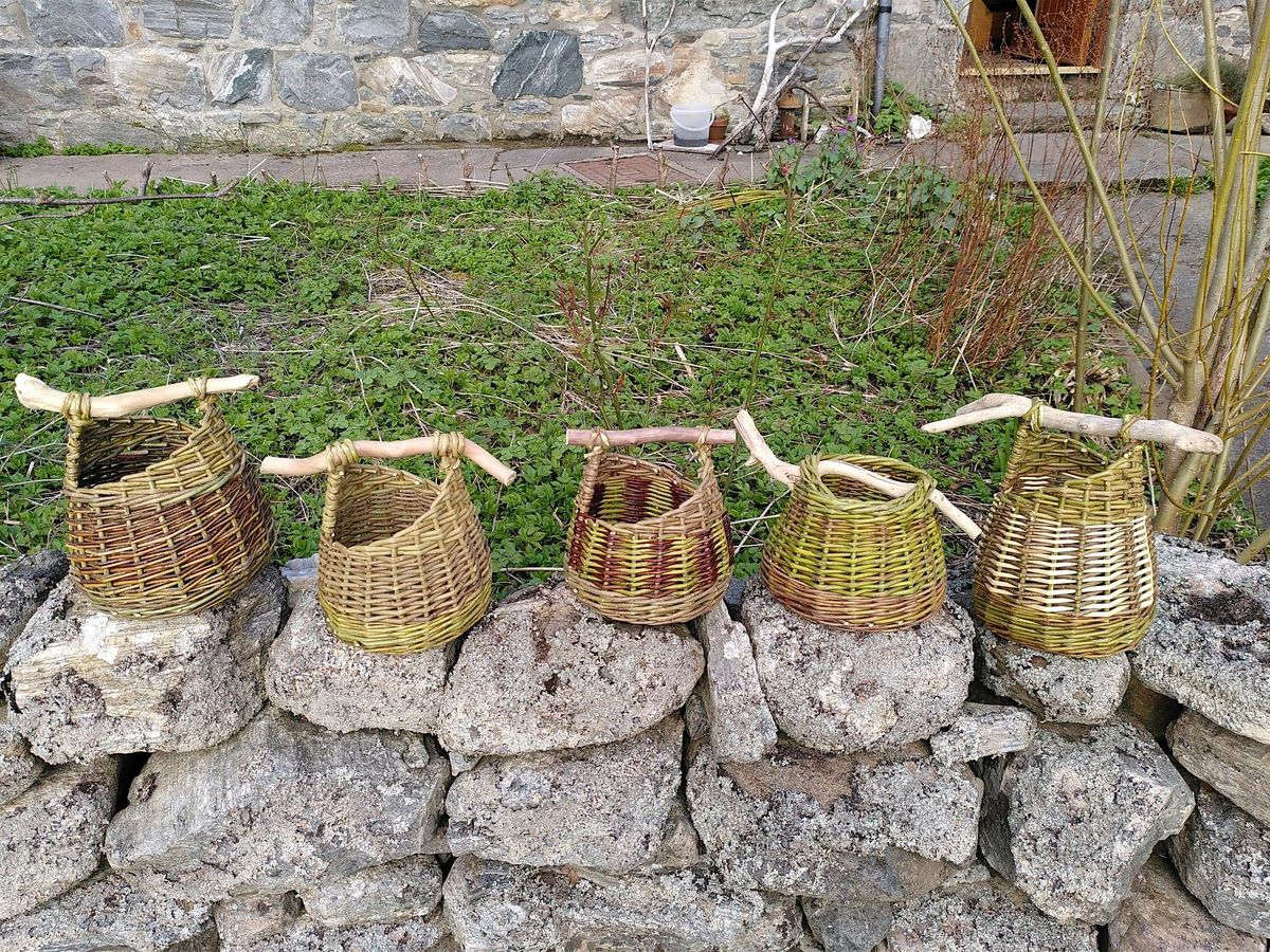 Willow basketry workshop