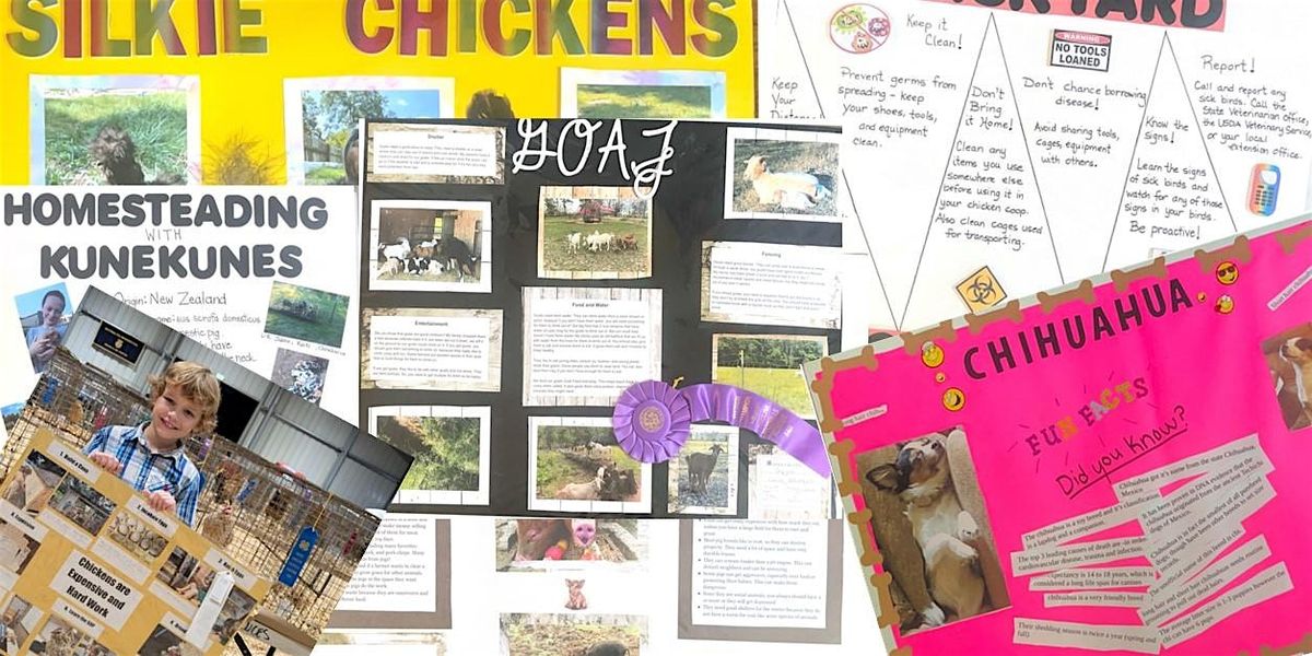 Oconee 4-H Poster Workshop