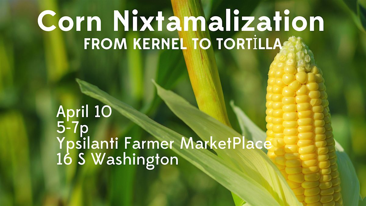 Corn Nixtamalization: From Kernel to Tortilla