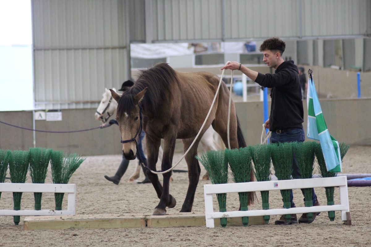 Confidence In Obstacles w\/ Rosca Horsemanship at Derby College Equestrian Centre