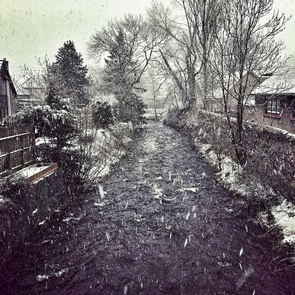 Winter Walks with Tweed Valley Blogger - Innerleithen