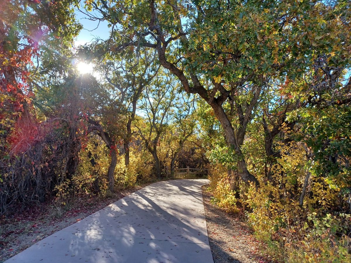 Daily Guided Nature Walk