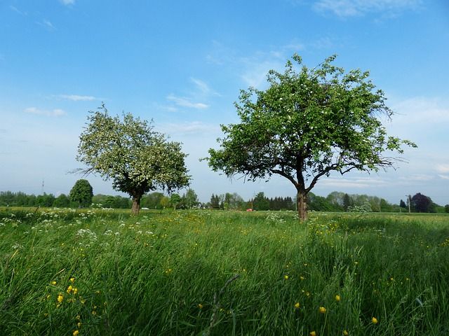 Introduction to Permaculture and Native Plant Communities 