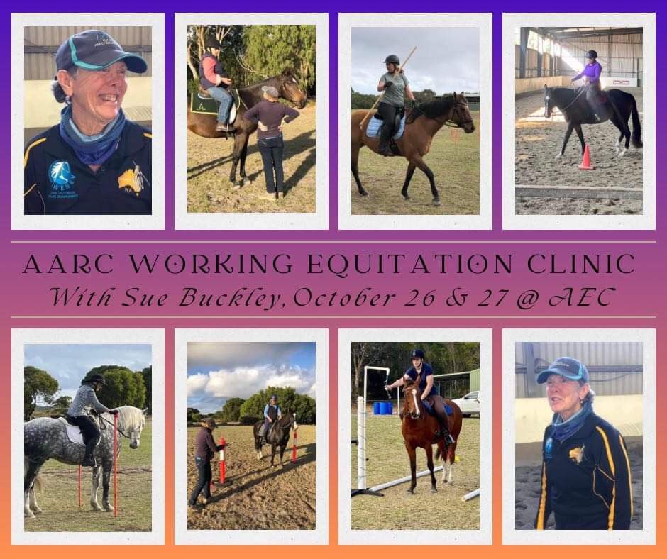 Working Equitation Clinic with Sue Buckley. 