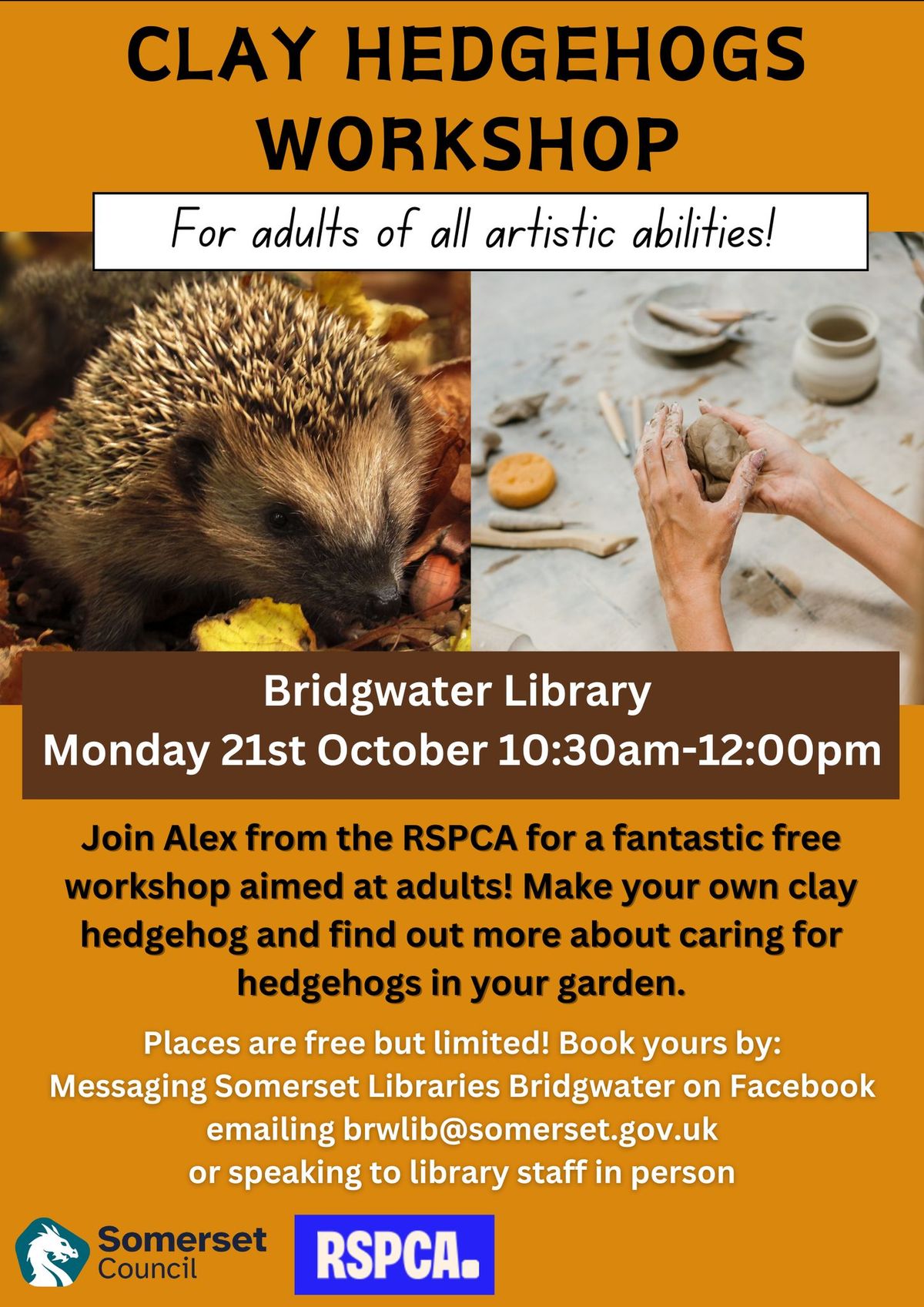 Clay Hedgehog Workshop for Adults (With the RSPCA!)