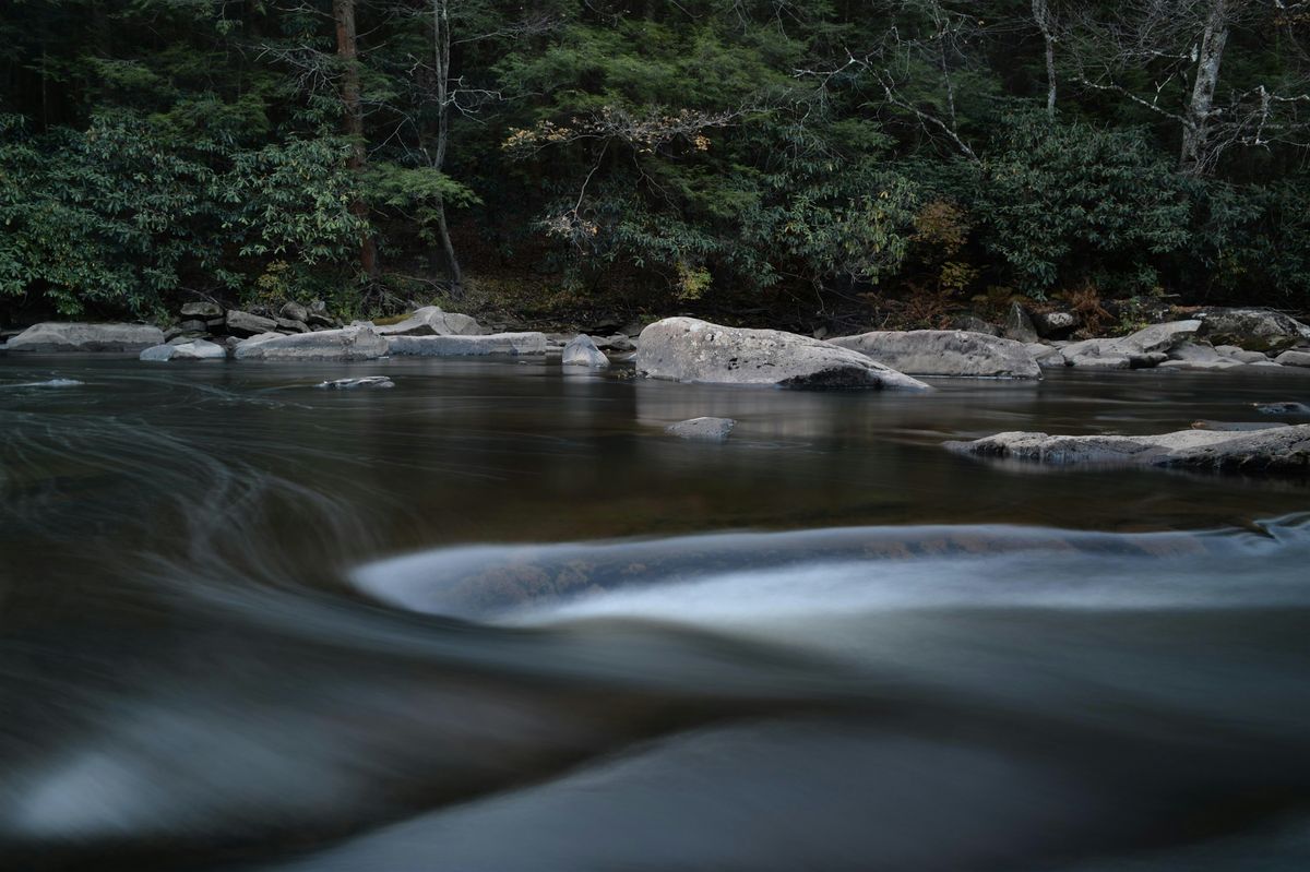 Coffee, Cameras, Camaraderie - Nov 16, 2025, Fairfax, VA