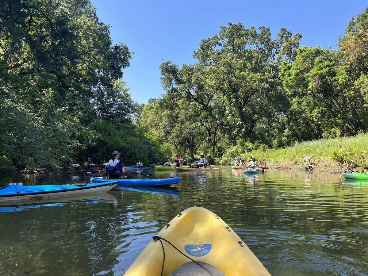 Guided Paddle along the Cosumnes River