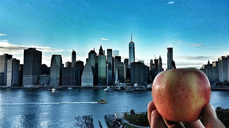A Day in the Big Apple