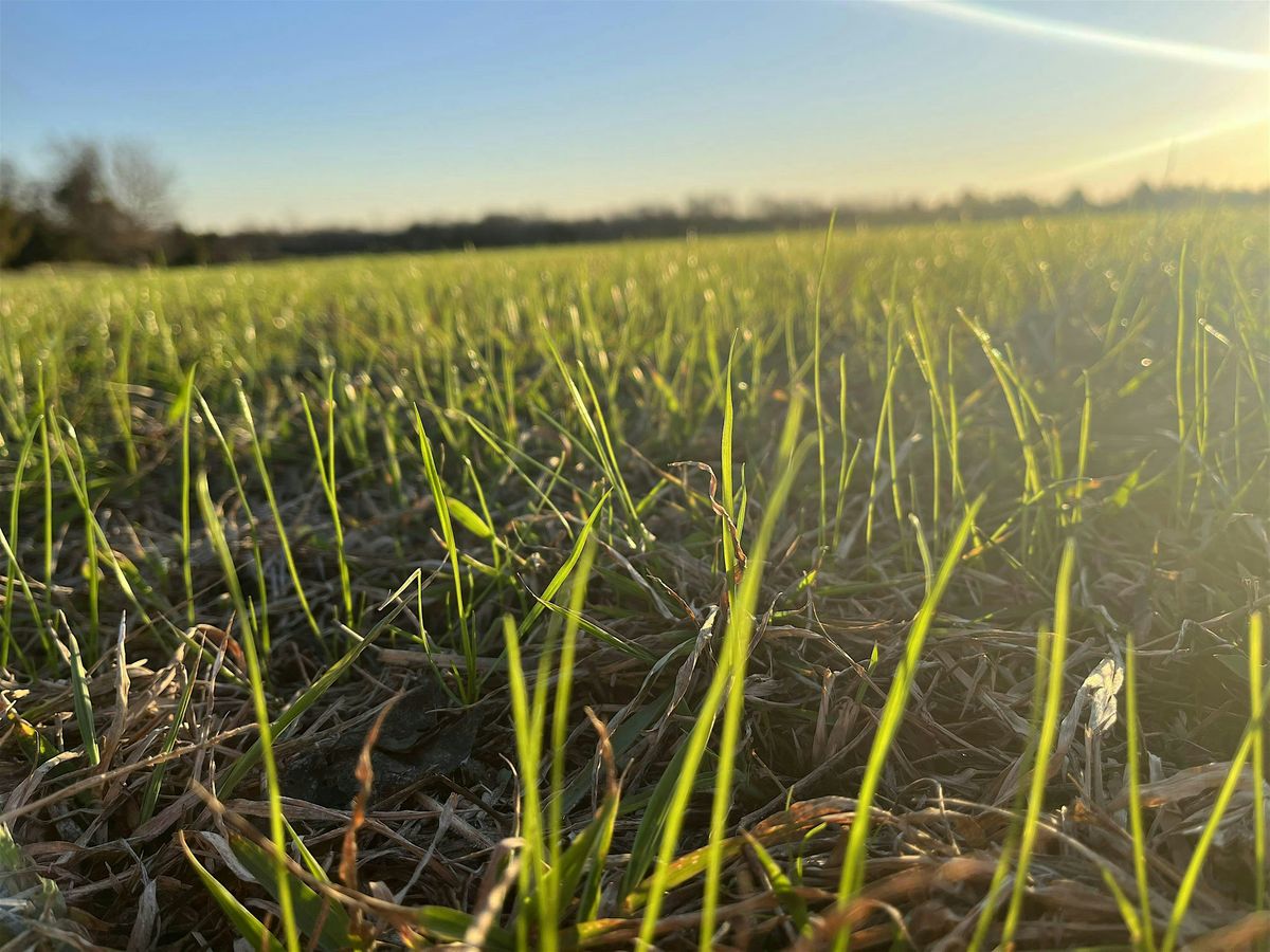 Cultivating Sustainability: Building Healthy Soils for Forages