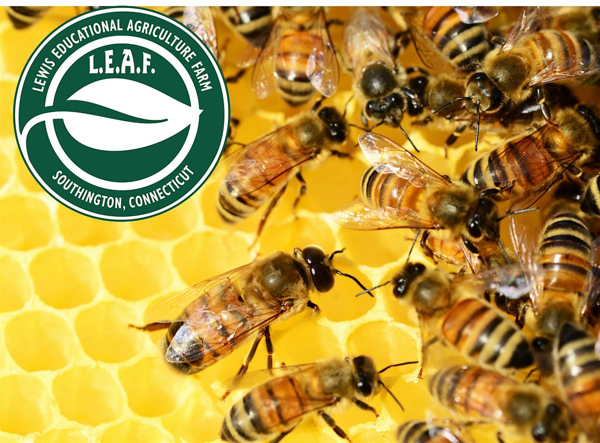 An Introductory Class, All About Honey Bees