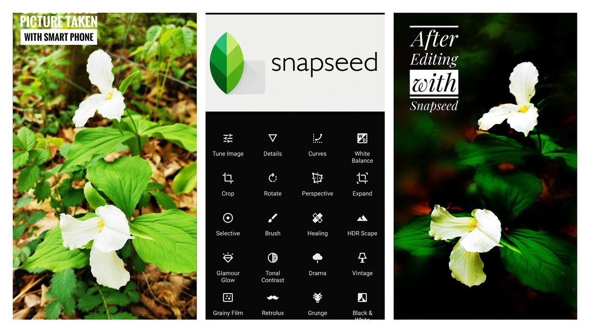 Snapseed Smart-Phone Photo Editing Workshop