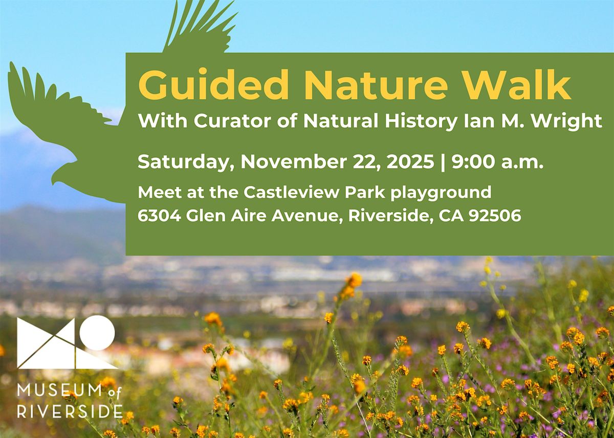 Guided Nature Walk  - Castleview Park