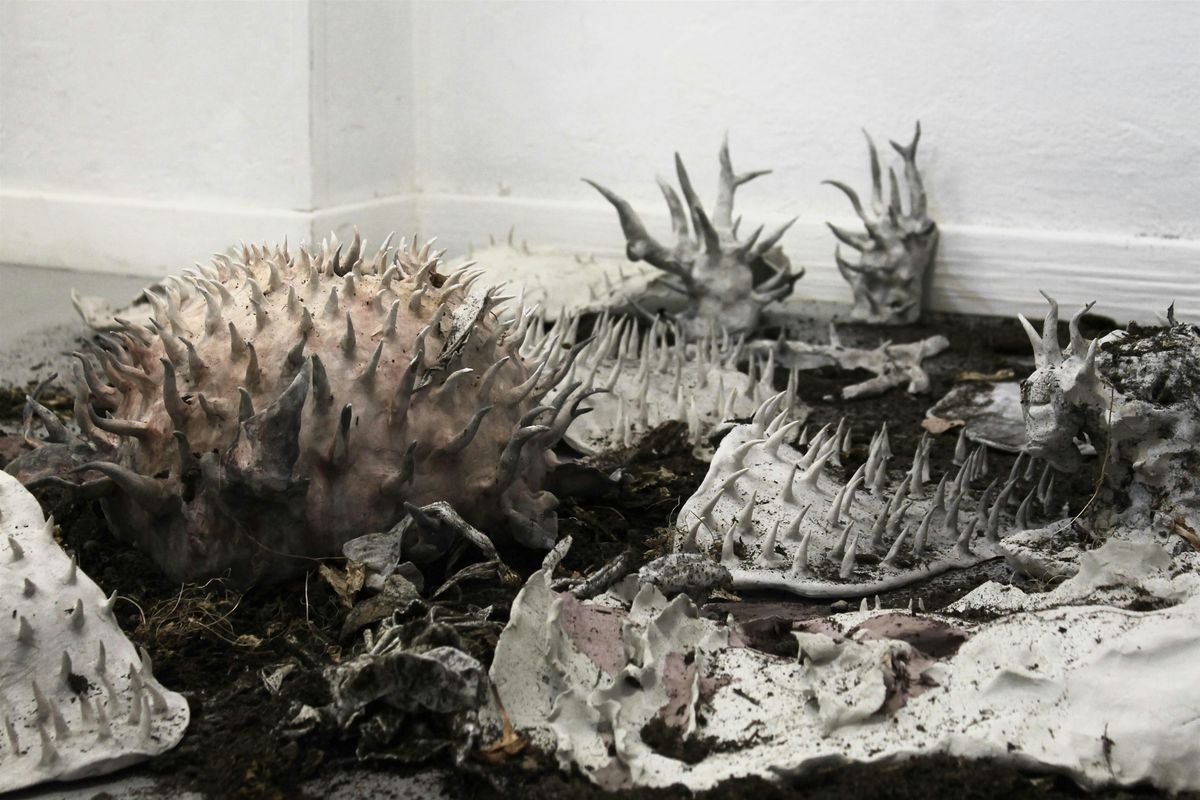 Soft Creature -Laboratorio di creazione collettiva