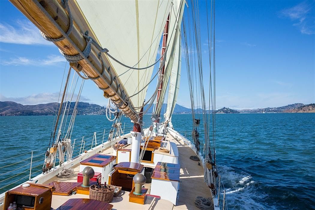 Saturday Afternoon Sail on San Francisco Bay - Thanksgiving Weekend 2025