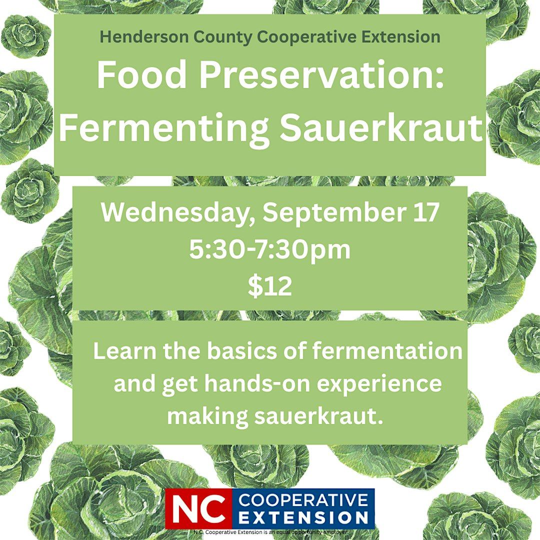 Food Preservation: Fermenting Sauerkraut
