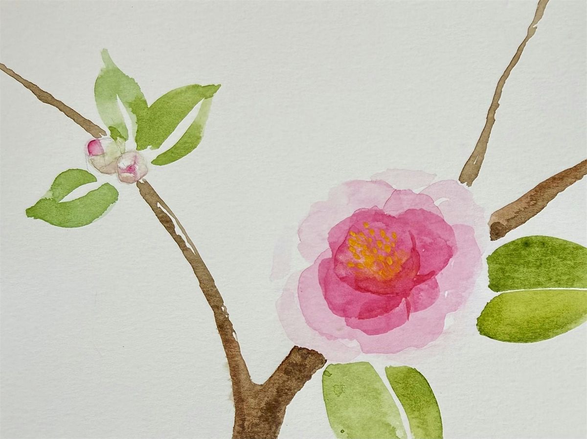 Watercolor Camellias