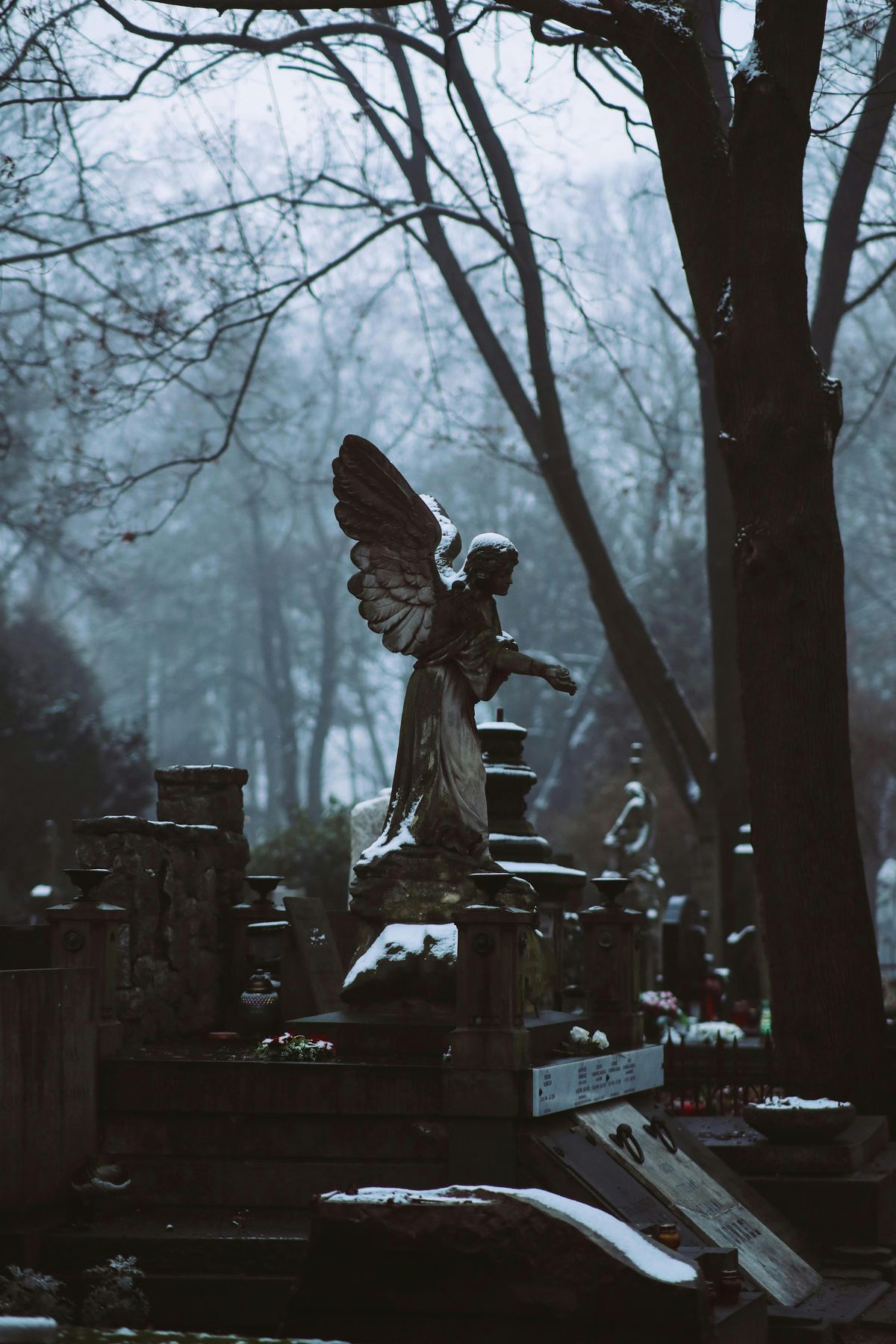 City of the Dead: the History of Toronto's Early Cemeteries