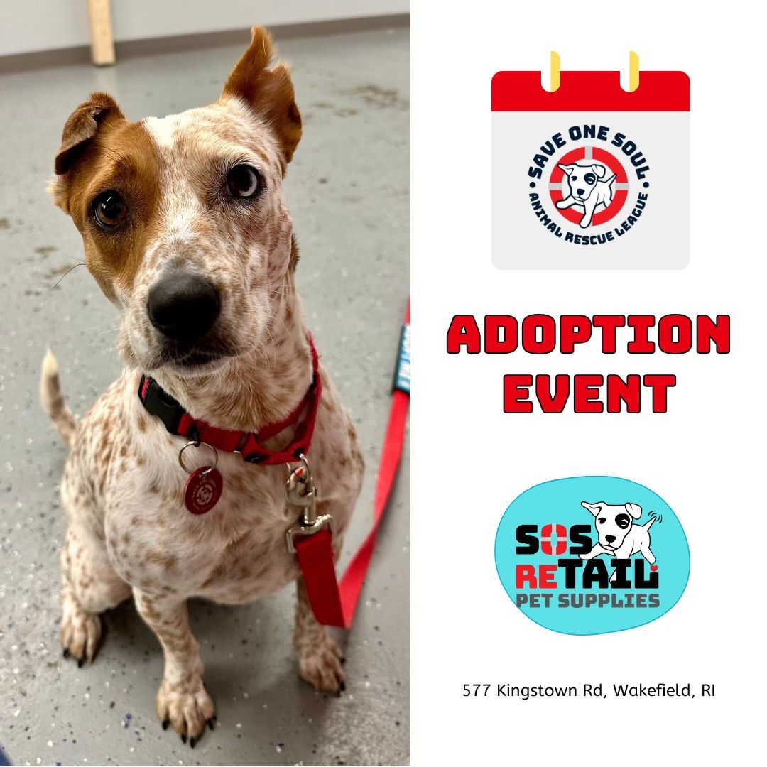 Adoption Event @ SOS reTAIL