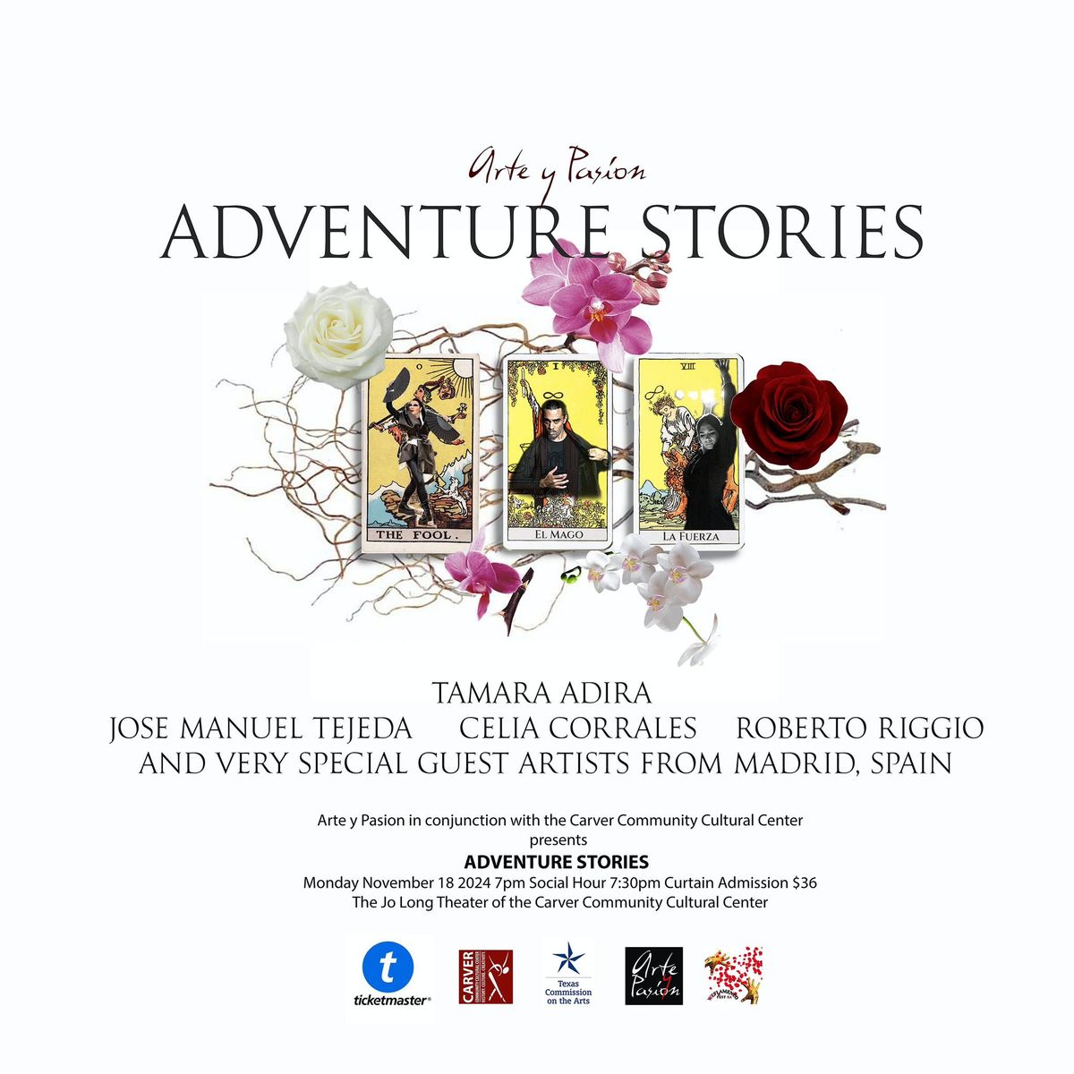 Arte y Pasion ADVENTURE STORIES