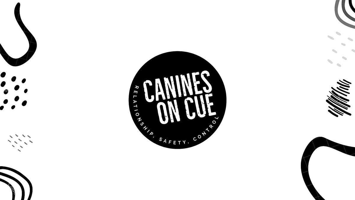 SOCIAL WALKS By Canines On Cue