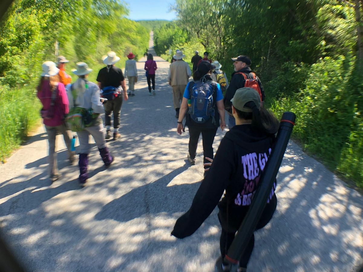 Group Walk: species identification in Tommy Thompson Park