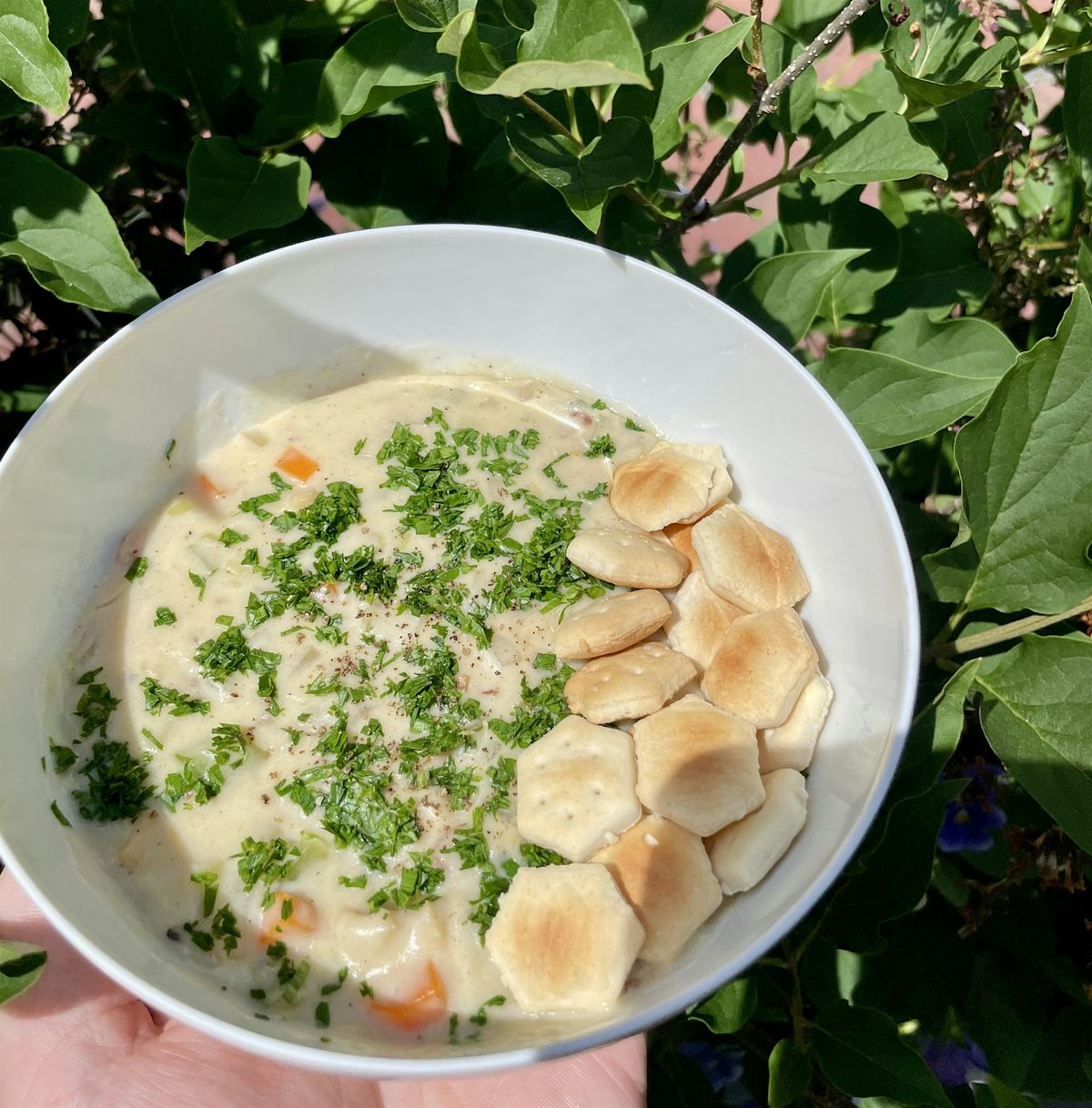 New England Clam Chowder Cooking Class
