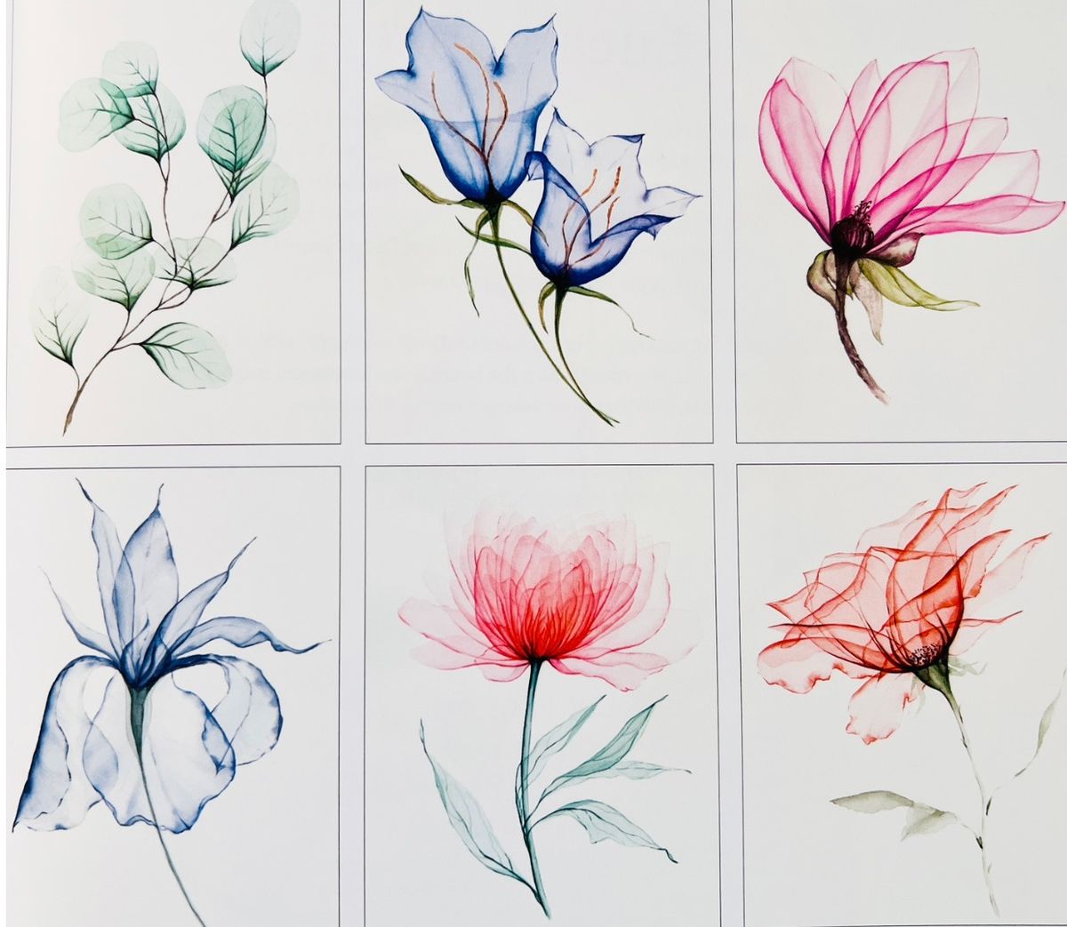 Translucent Flowers in Watercolor