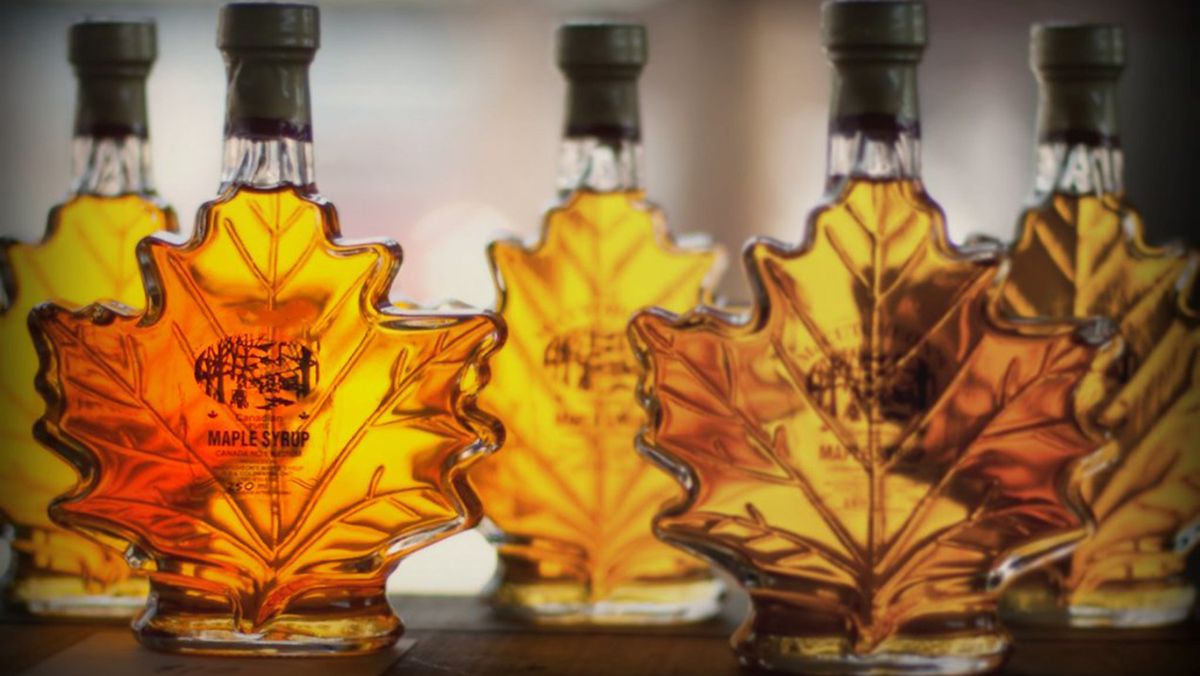 Learn How to Make Maple Syrup!