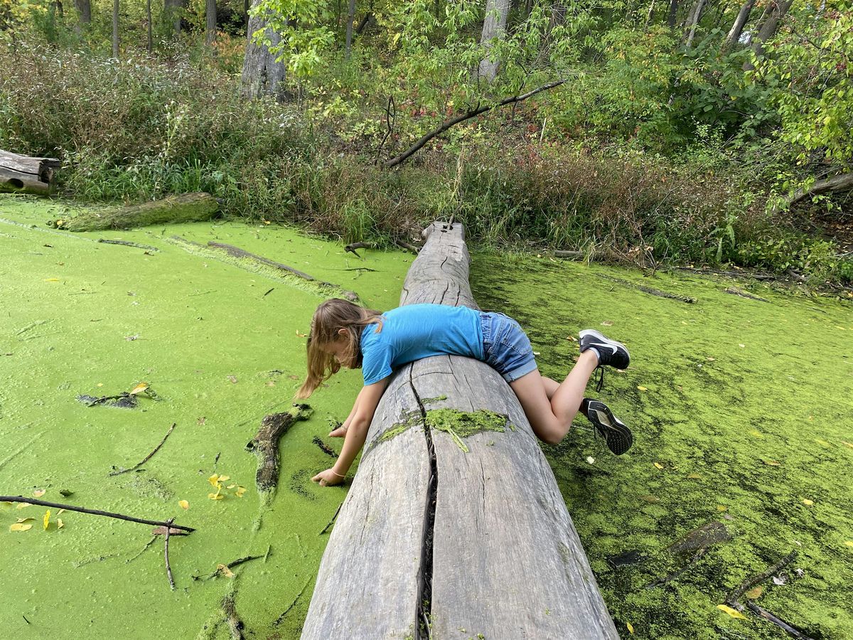 Nature-Based Therapy: (re)Discovering the Power of Play and Awe