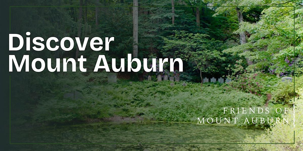 Discover Mount Auburn