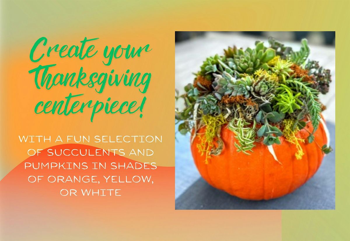 Succulent Pumpkin  Centerpiece, House of Char Design, Shelton