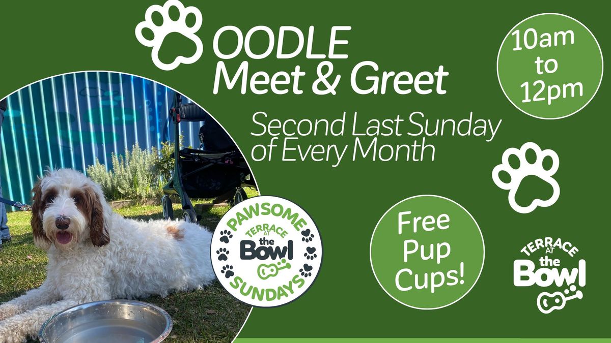 OODLE Meet & Greet